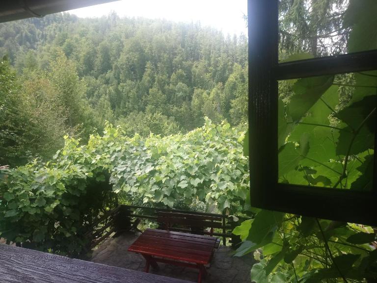 Little heaven 2 - Bed and Breakfast Mandići