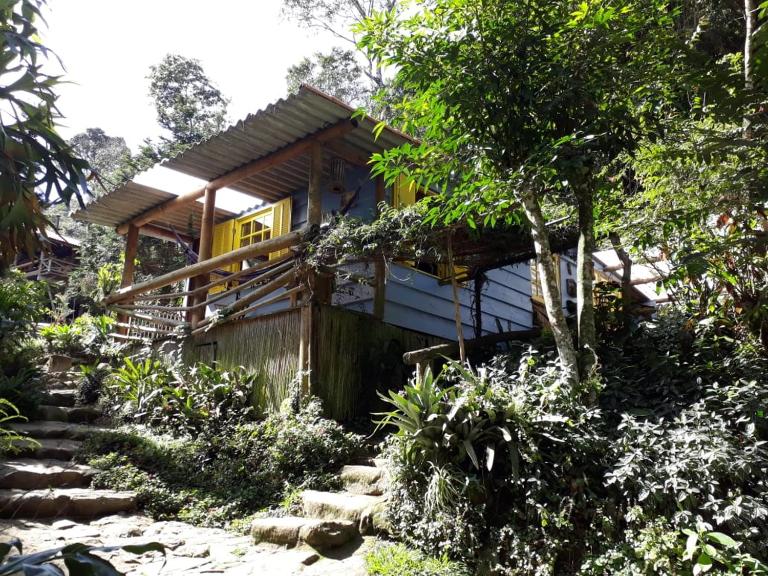 Chales Bamboo Jungle - Bed and Breakfast Petrópolis