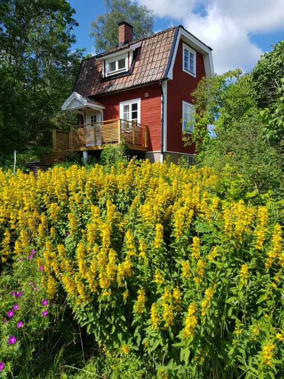 The brickmaker's cottage - B&B Rimbo