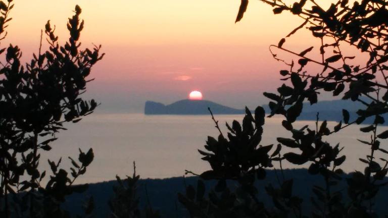 Il Giardino Degli Iris - Chambres d'hôtes Alghero