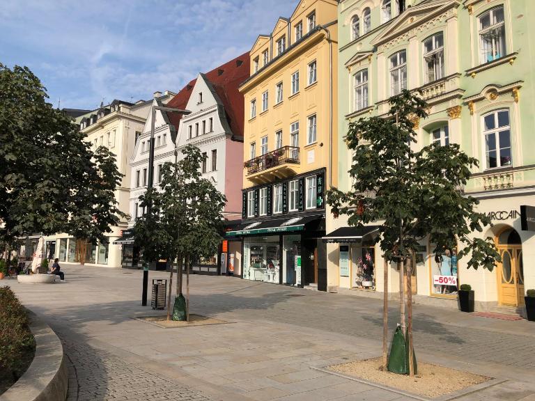 Apartmán Orchidej u Vřídla - B&B Karlovy Vary