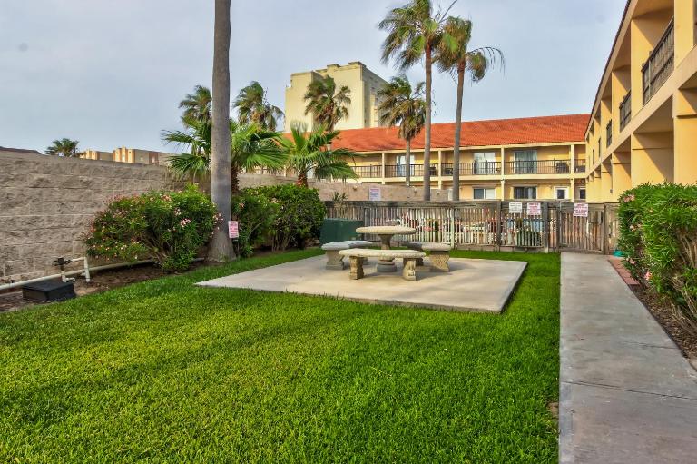 Dolphin #20 - Chambres d'hôtes South Padre Island