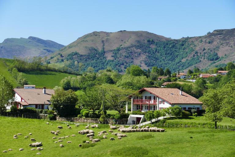 BaskoParadis I Eco-Gites I Calme I Vue I Ânes I Jardin I Montagne I Nature - B&B Louhossoa