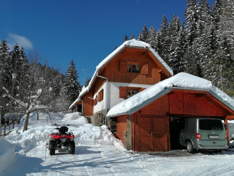 POHORJE HOUSE 2 FOUR APPARTMETNS - Bed and Breakfast Oplotnica