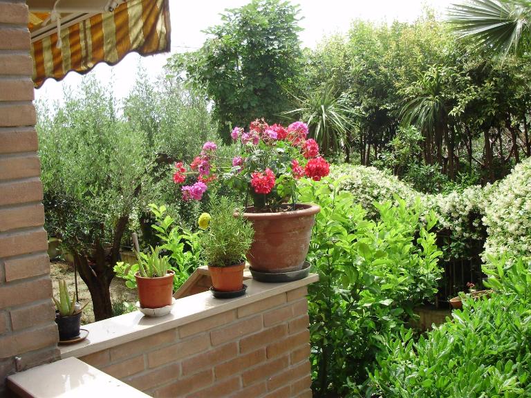 B&B Le Palme - B&B Grottammare