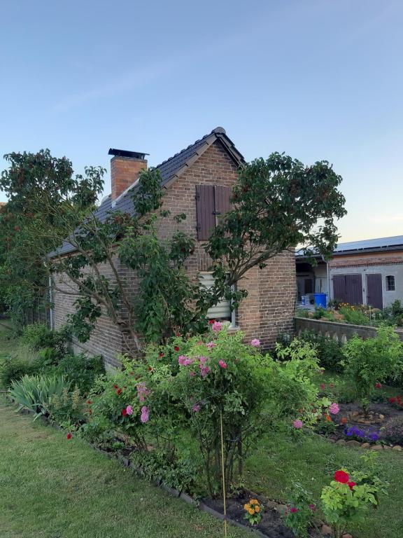 Zur alten Sommerküche - Ferienwohnung Weißagk