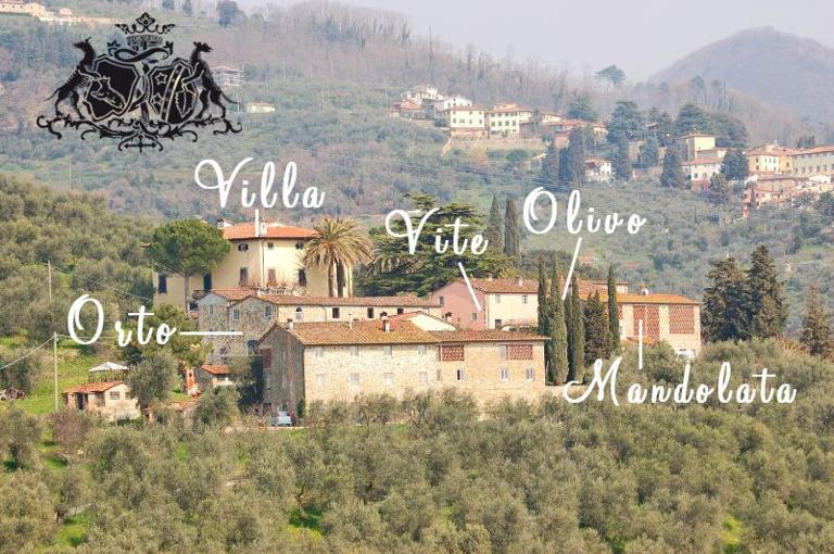 Fattoria di Fubbiano - Ferienwohnung Collodi