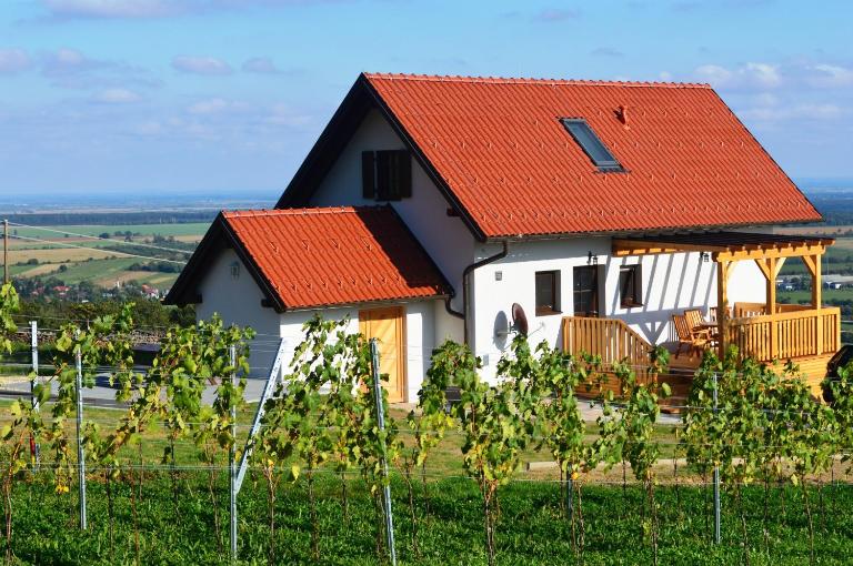 REnthouse - Ferienhaus am Weinberg - Bed and Breakfast Rechnitz