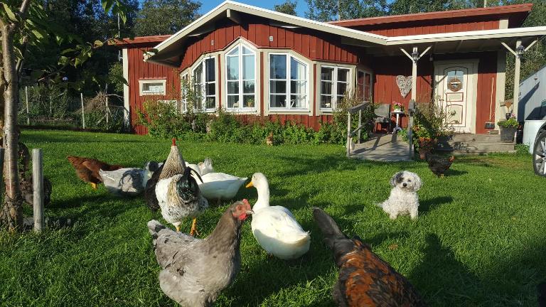 Spiragården - Bed and Breakfast Glanshammar