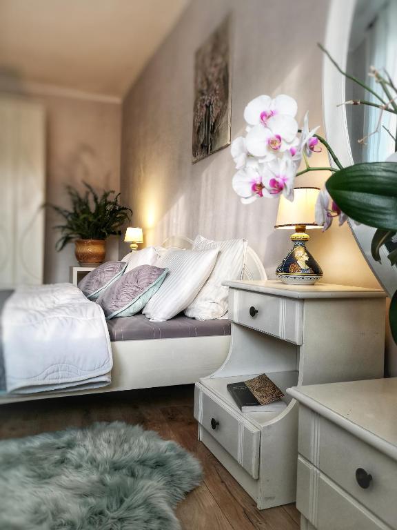Home garden oasis - Chambres d'hôtes Timişoara