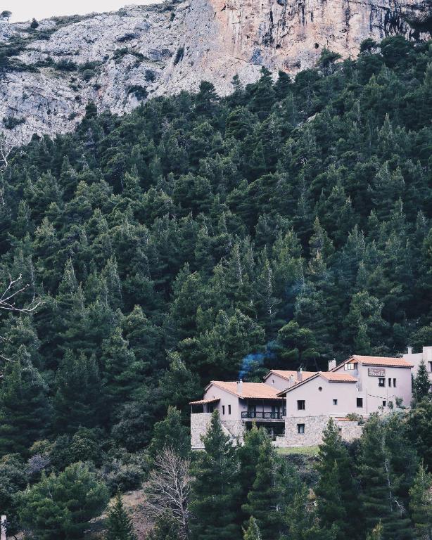Guesthouse Vasiliki - Chambres d'hôtes Stení Dhírfios