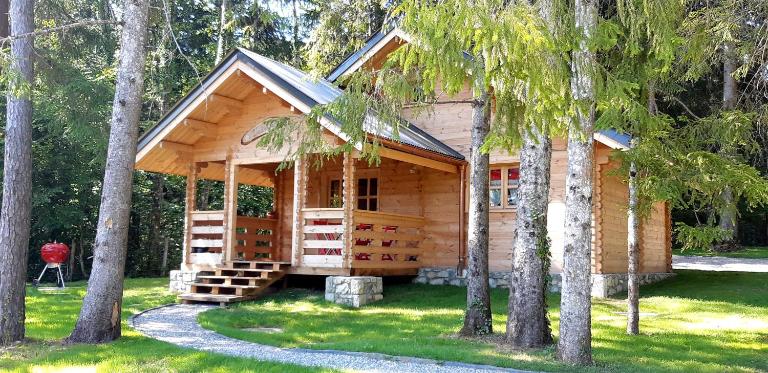 Chalet L' ADRET - Bed and Breakfast Bluffy