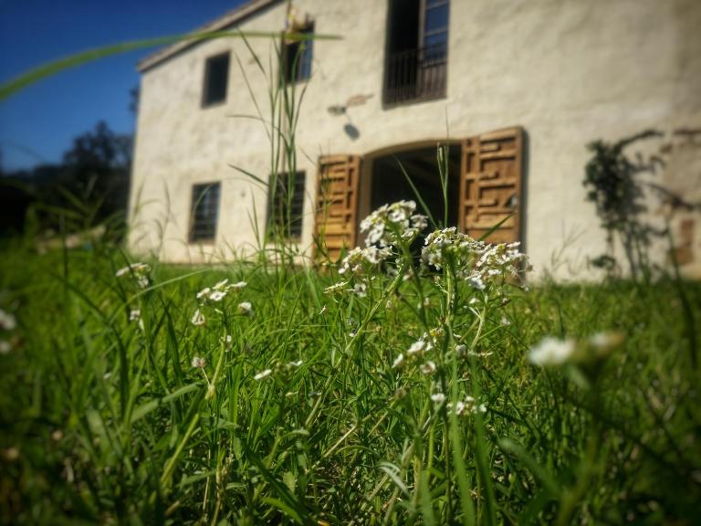 Masia Mediterranian Country House Ca l'Isidre Torrent - B&B Sant Cebrià de Vallalta
