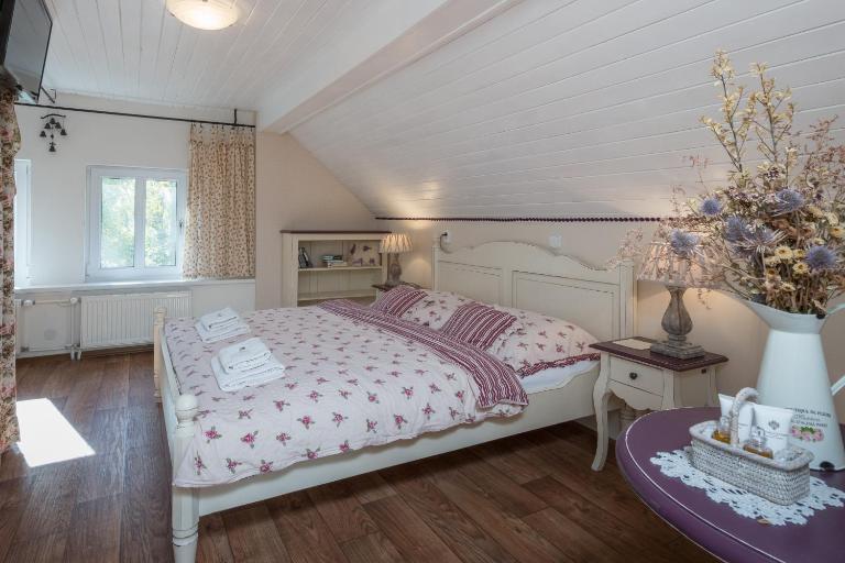 Penzion Stříbrný vítr - B&B Horní Planá