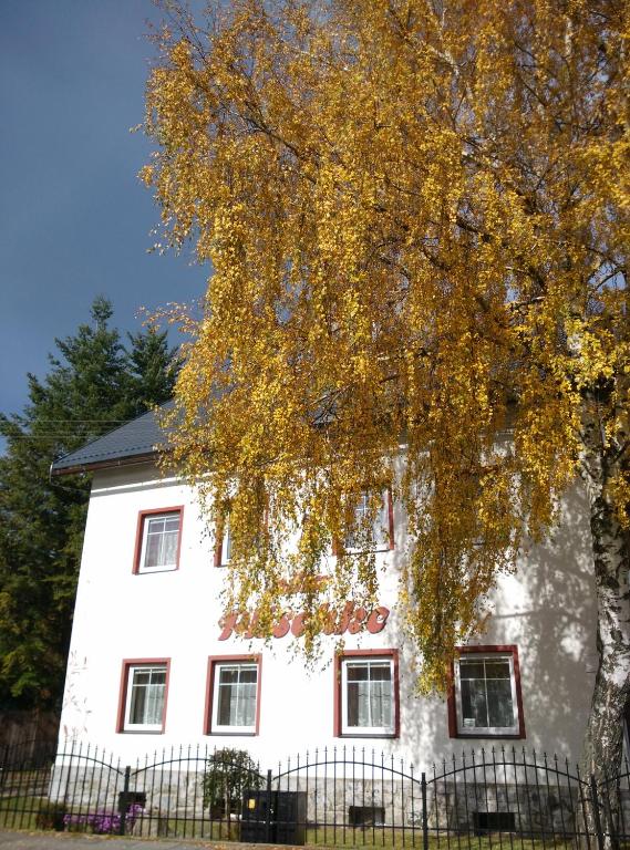 Villa Plischke - B&B Lipová-lázně