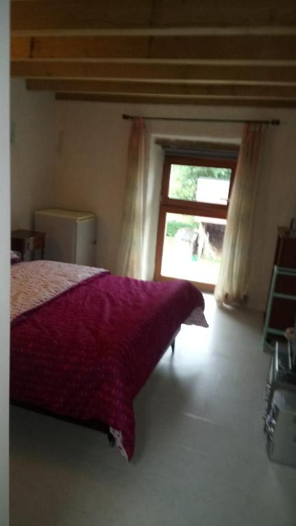 Le Clos Doré Parc - Bed and Breakfast Bains-sur-Oust