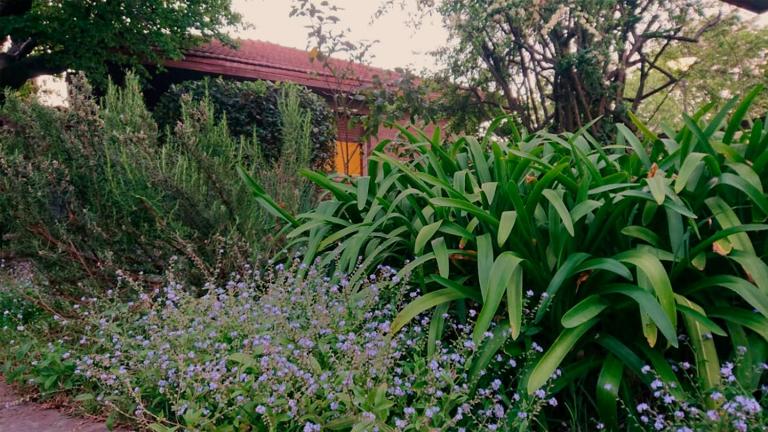 Nomeolvides - B&B Tandil