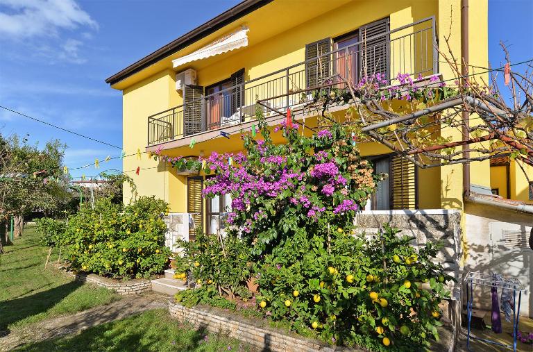 Apartments Danijel 1956 - B&B Pula
