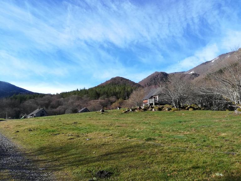 Les chalets de la forêt d'Issaux - Ferienwohnung Osse-en-Aspe