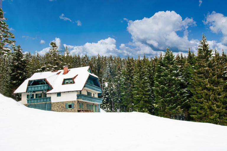 Apartma Borovnica Rogla - B&B Vitanje