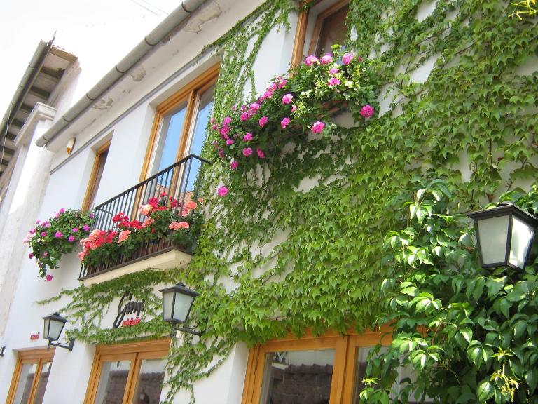 Gimi Vendégház - Bed and Breakfast Baja