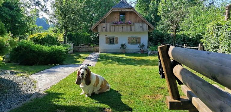 Vila Jana - Bed and Breakfast Radovljica