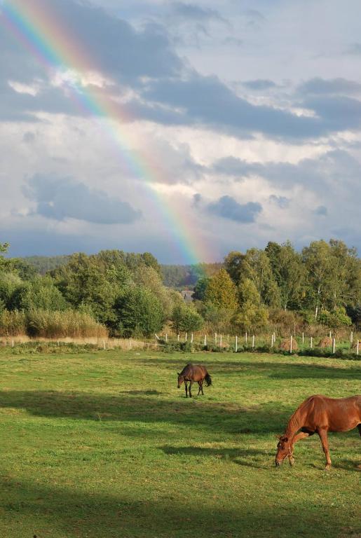 Agroturystyka Mętno 18 - Ferienwohnung Mętno