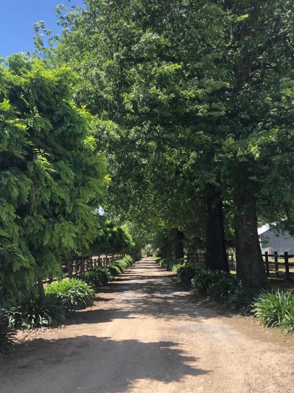 Oak Lane Guest House & Farm Stay - B&B Whorouly