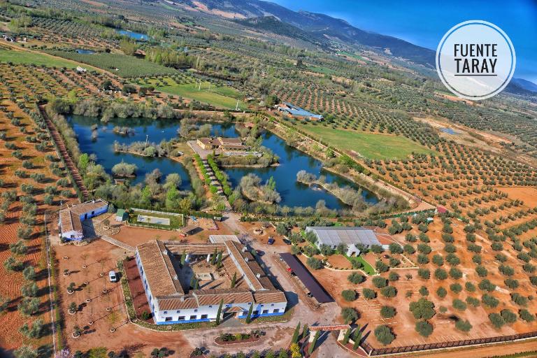 Complejo Turístico Rural Fuente Taray - B&B Malagón