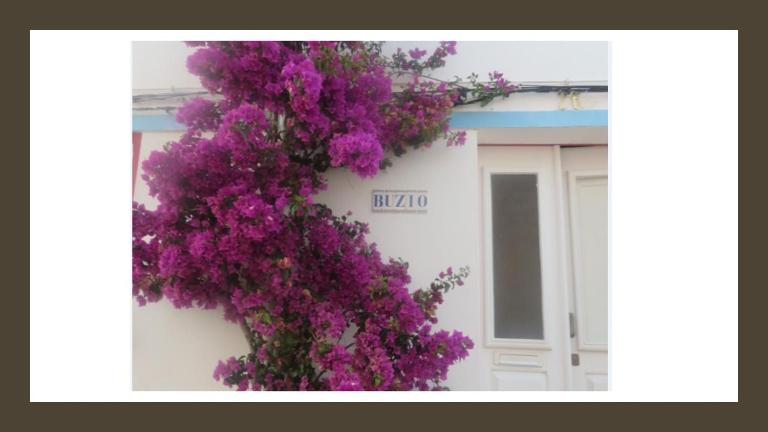 Buzio - Ferienwohnung Vila do Bispo