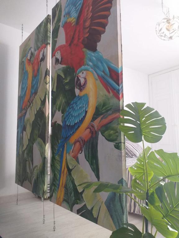 Tropical Loft - B&B Corralejo