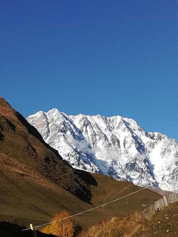 Bori's Guesthouse - B&B Ushguli