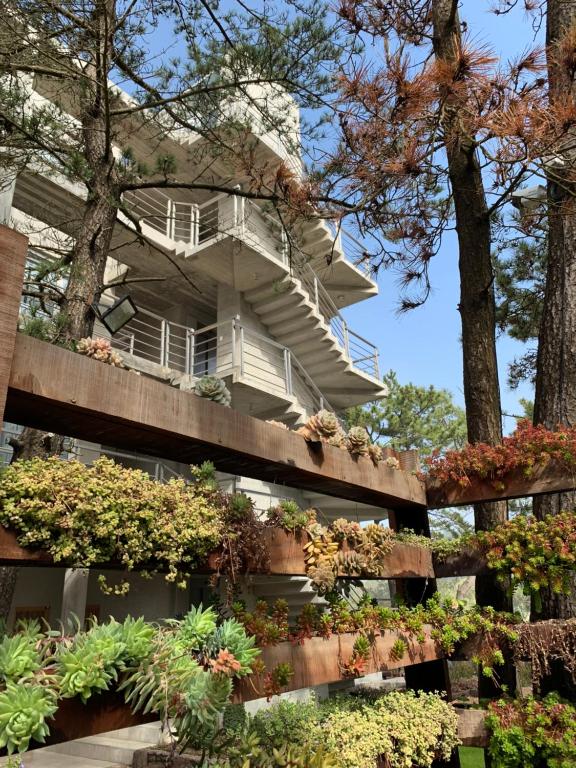 Casiopea Apart-Spa-Mar - B&B Mar de las Pampas