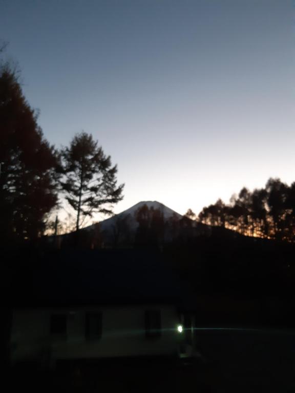 C.T.Forest - B&B Oshino