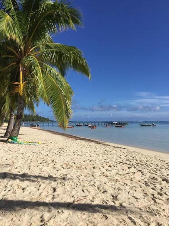 MOOREA - Fare Taina Dream - B&B Hauru