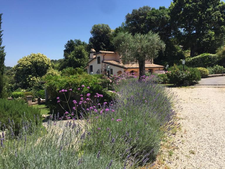 Olivella - B&B Campagnano di Roma
