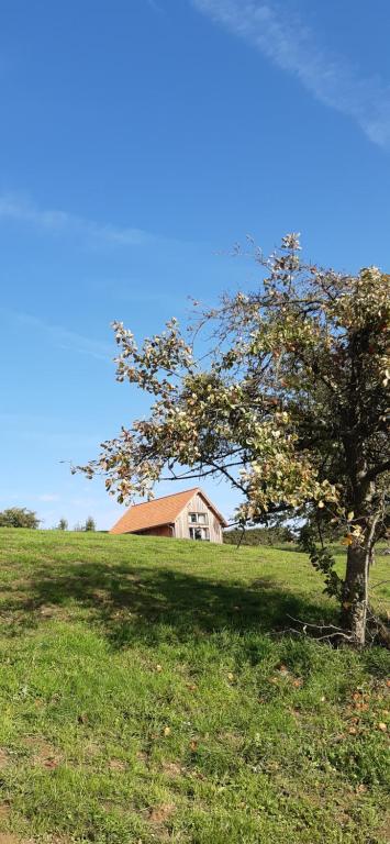Boerderaaj vakantiewoning - B&B Bilzen