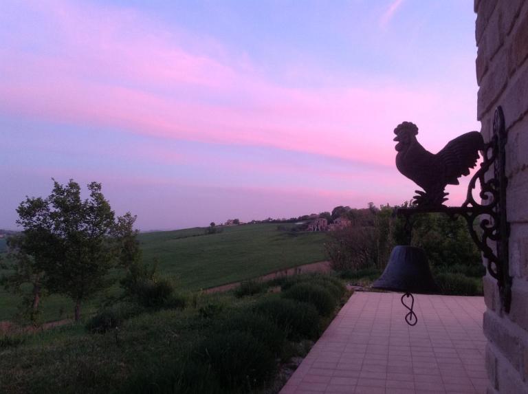 Poggio delle Lavande - B&B Montelupone