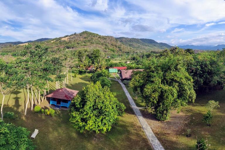 4 Pohon - Les 4 Arbres - B&B Pandang