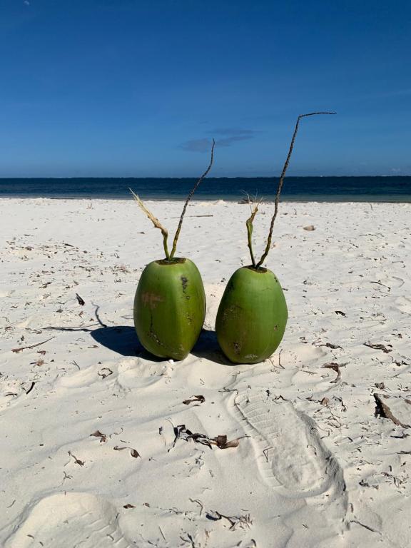 Mombasa Bamburi Beach Studio B11 - Pool & Beach - Sleeps 3 - B&B Mombasa