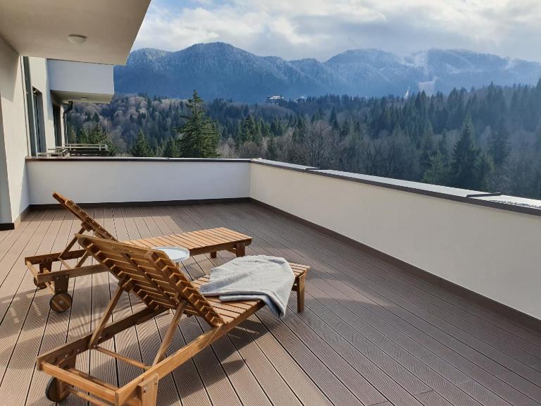 Silver Fox Residence - B&B Poiana Brasov
