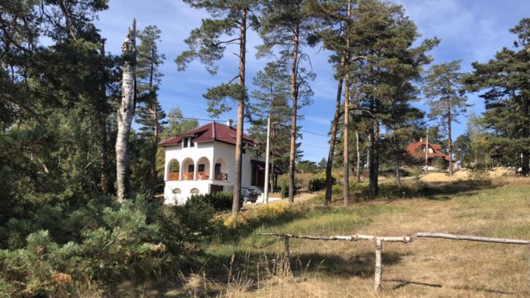 Vila ANA - Chambres d'hôtes Divčibare