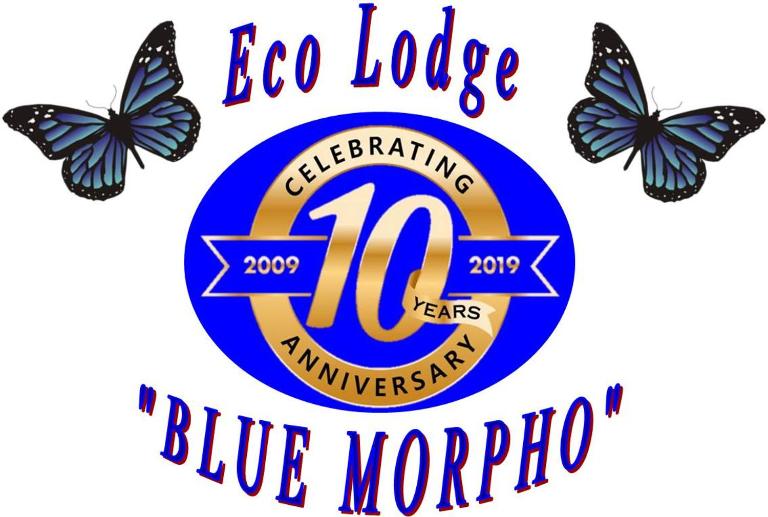 Ecolodge Blue Morpho - B&B Cárdenas