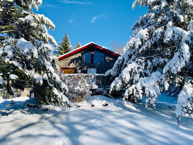 Roscoe Cabin Pet friendly - Ferienwohnung Roscoe
