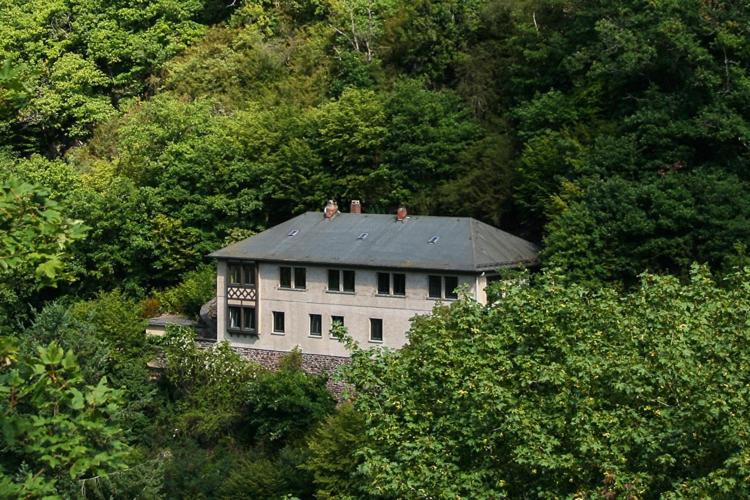 Haus am Berg - B&B Bad Bertrich