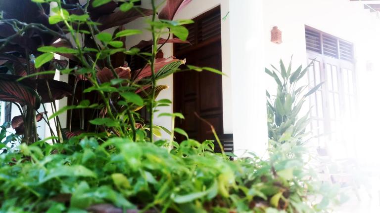 Eagle Homestay - B&B Tangalle