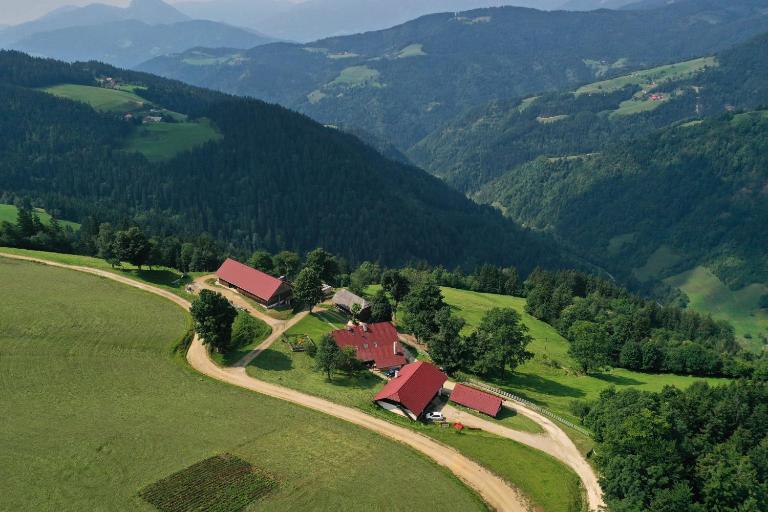 Farmstay&Glamping Visočnik - B&B Ljubno