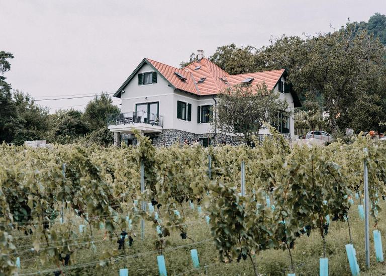 Éliás Borbirtok - Bed and Breakfast Badacsonytomaj