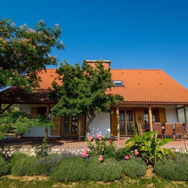 BorászPorta - B&B Villány