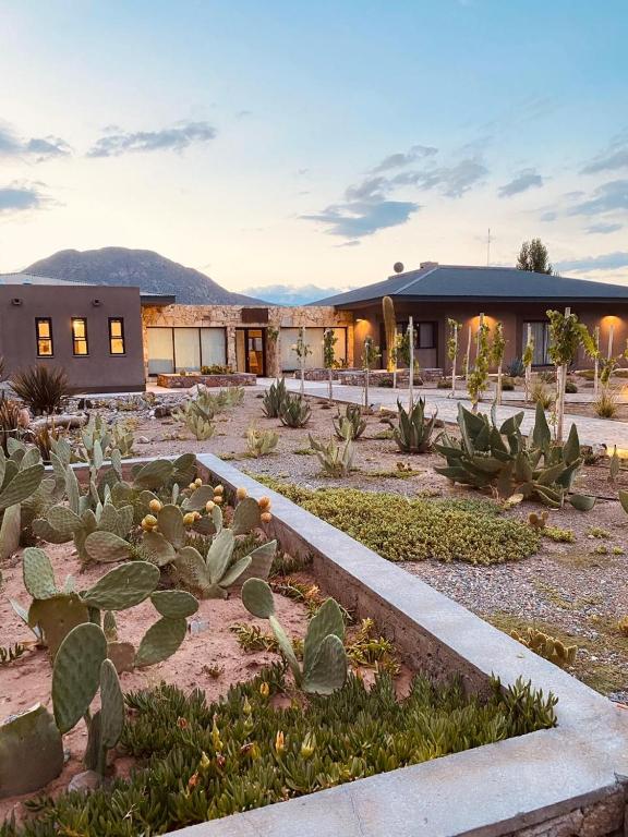 Chañarmuyo Casa de Huéspedes - B&B Chañarmuyo